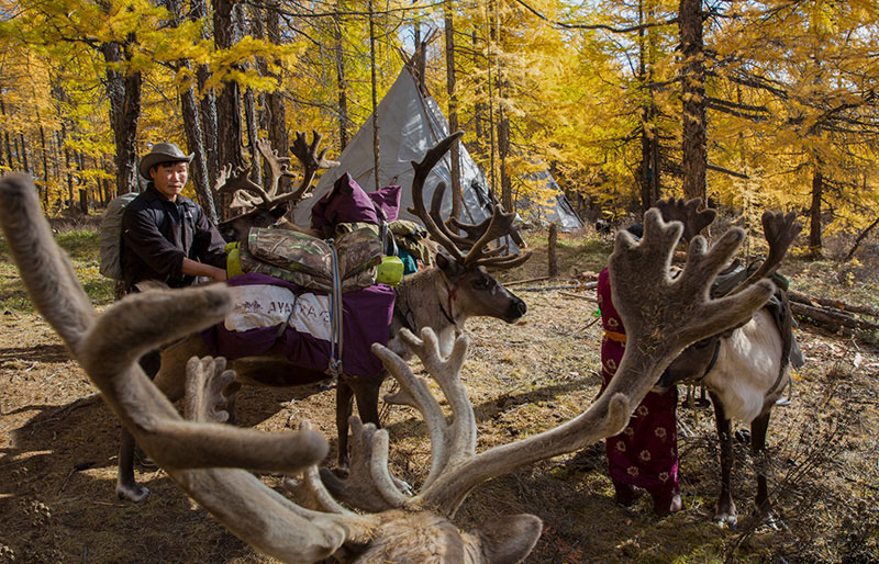 travel to taiga mountains